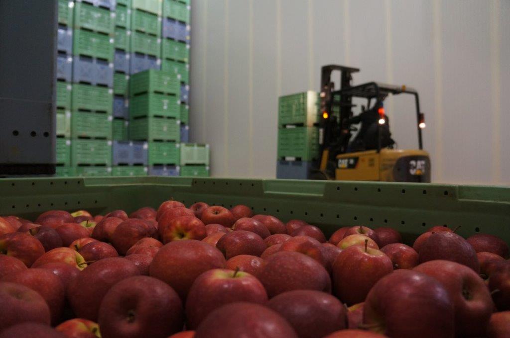 almacenamiento de manzana