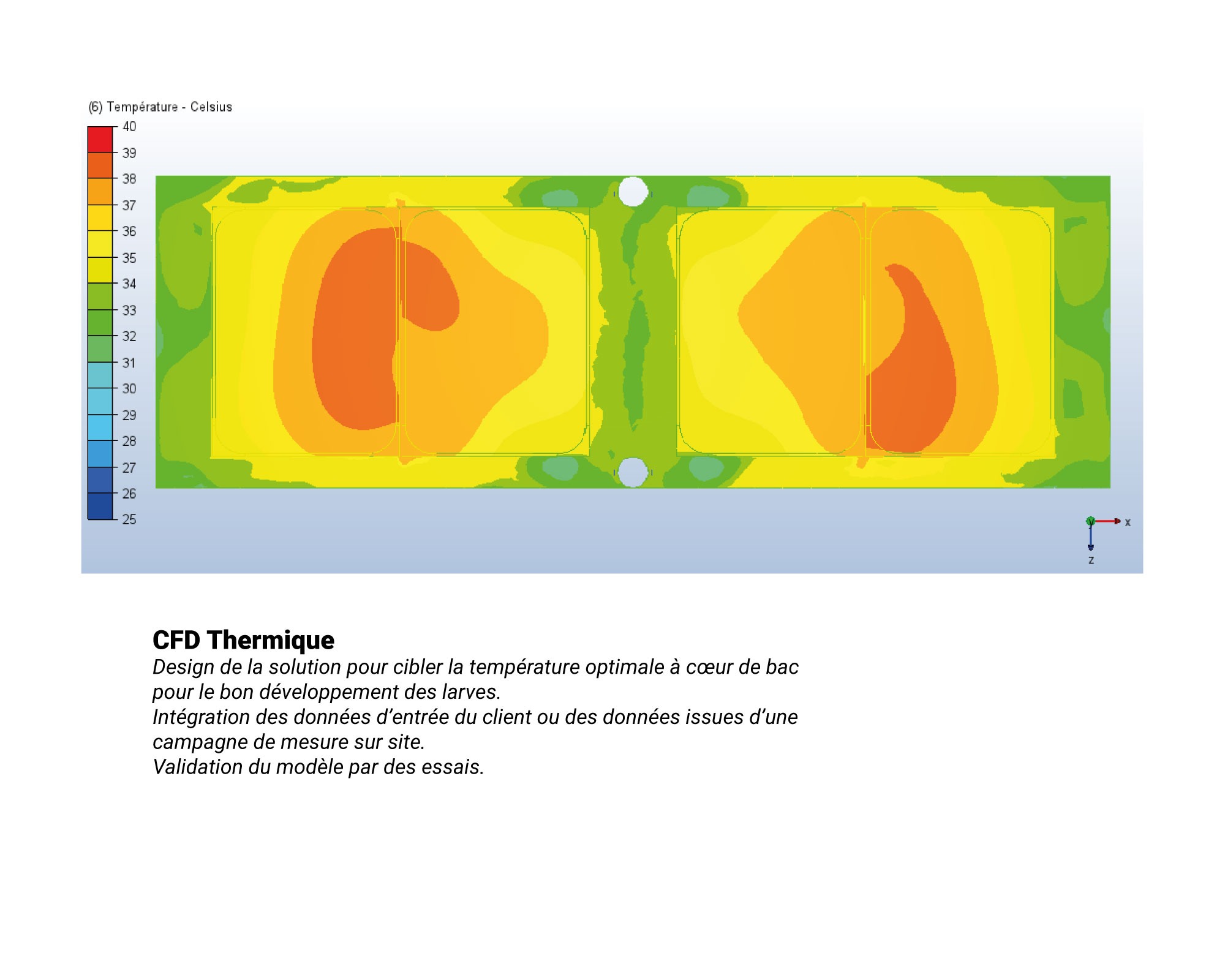 CFD-thermique Protéines alternatives