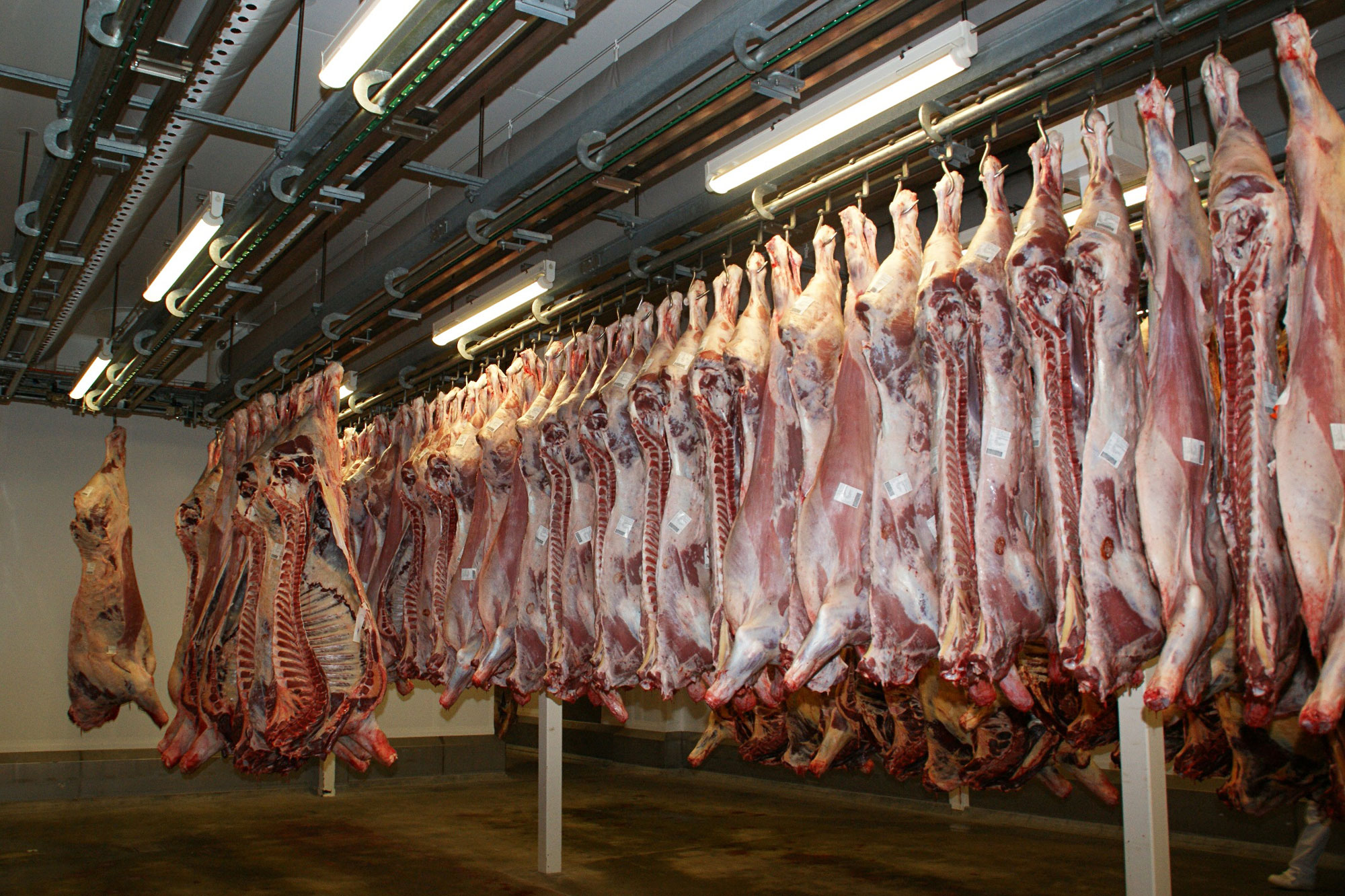 Mercado Carne - Salazón