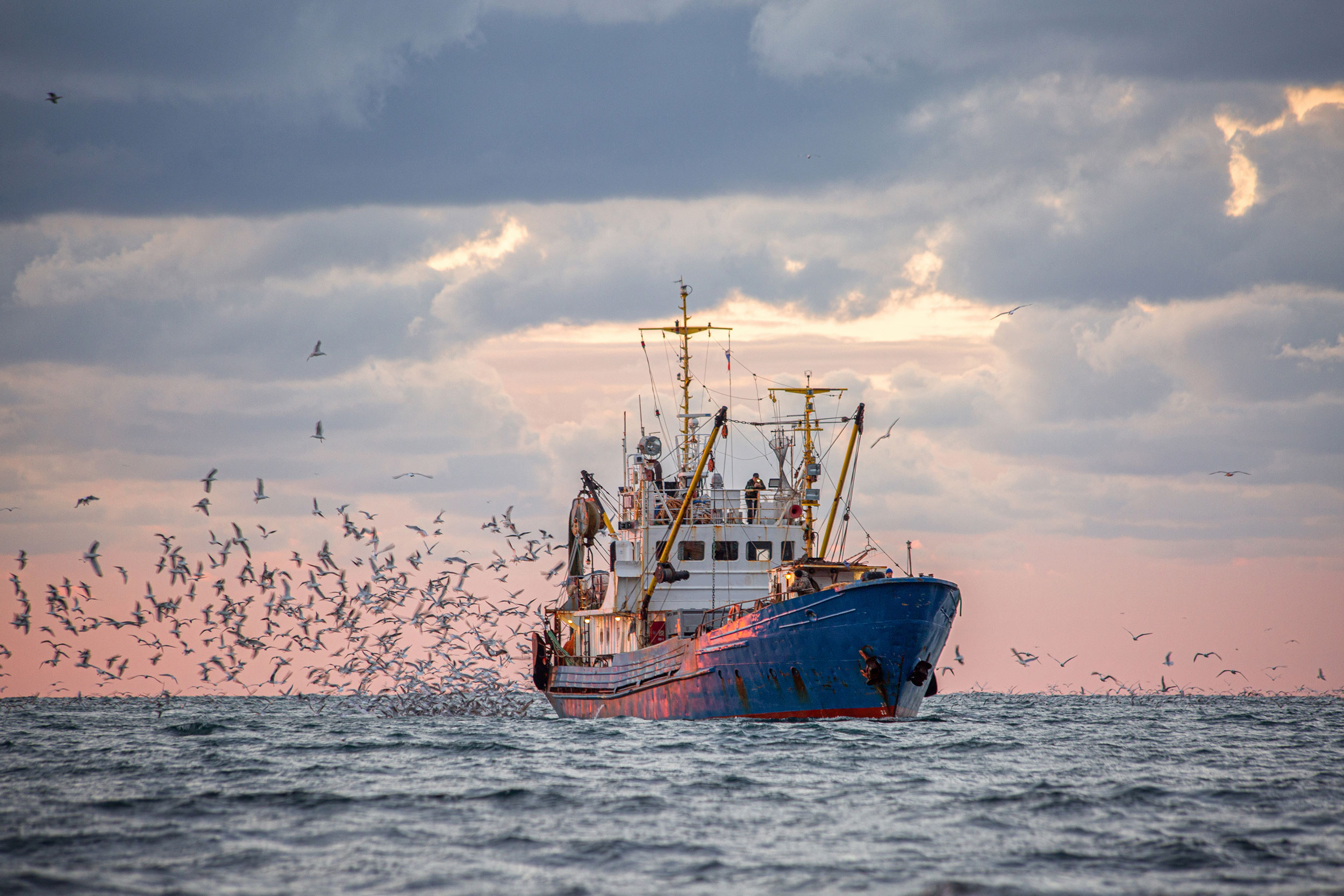 Barco de pesca